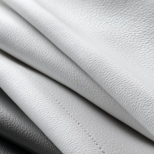 The Classic Membership at LBH STUDIO in Weslaco, TX